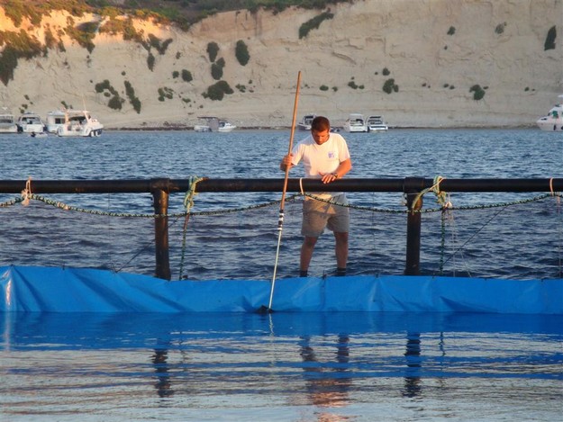More good news in favour of Qala's environment - Qala Mayor