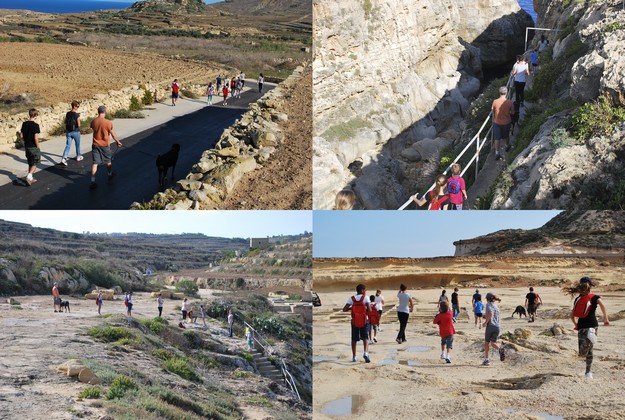 Gozo-Greyhounds enjoy a hike around Gharb & surrounding coastline