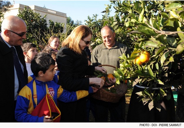 Citrus Fest this coming Sunday at San Anton Palace Gardens