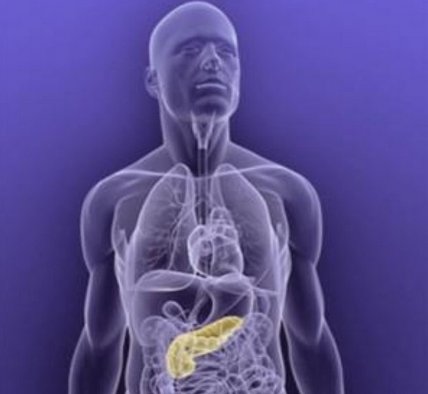 Malta should train doctors to detect cancer early – Report Malta should train doctors to detect cancer early – Report
