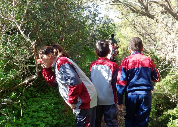 Teachers want more hands on learning about nature in primary schools