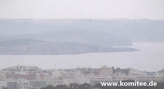 CABS records the shooting of White Storks on video