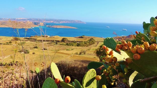 More than €1.2 m to be invested in Gozo’s coastal & country areas – Minister