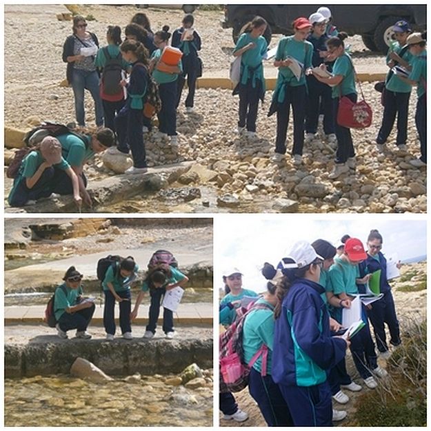 Bishop’s Conservatory Secondary: Science Fieldwork and Maths Trail