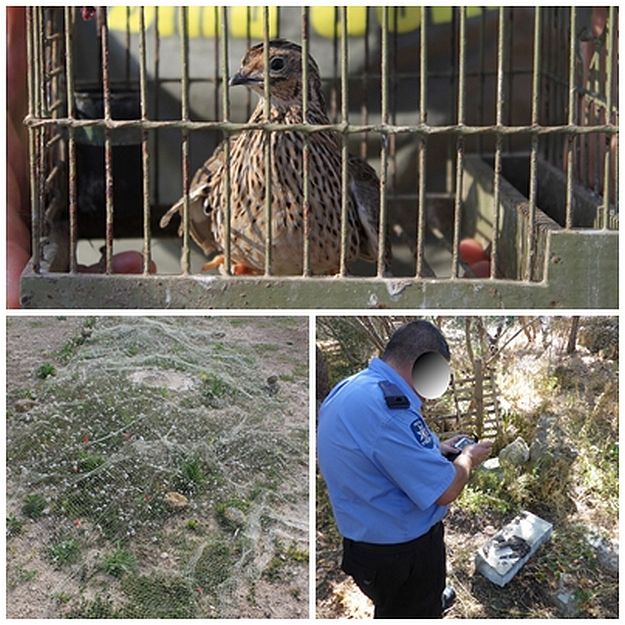 CABS find ‘bird cemetery’ in Mizieb & Quail trapping site on Gozo
