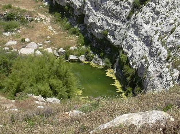 Kempinski Hotel & Rotary Club Gozo clean-up at Dwejra on Tuesday