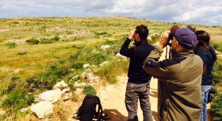Government publishes detailed report of spring hunting season