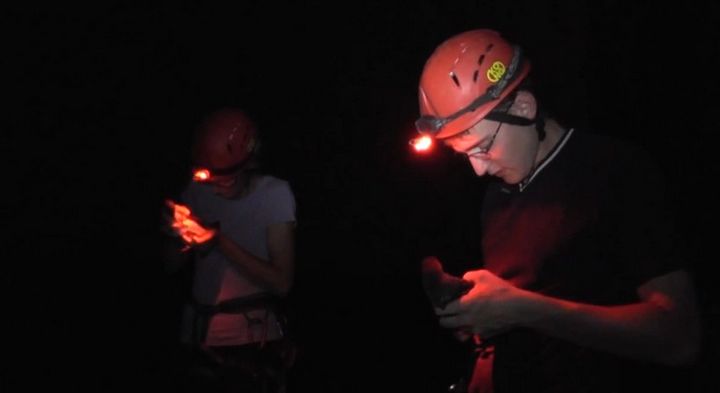 Yelkouan Shearwaters successfully released; appeal for less light pollution