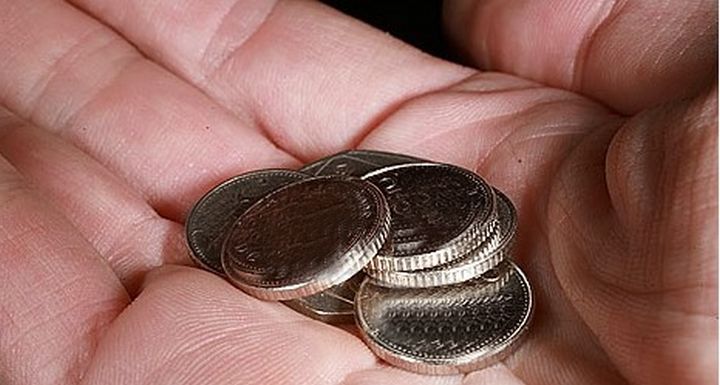 Bogus charity collections for Dogs Trust Malta being made in Gozo