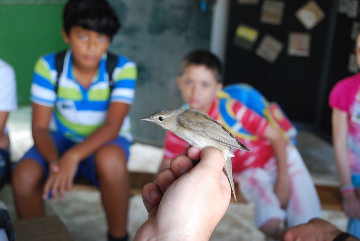 Young enthusiasts enjoy the experience as nature reserve wardens