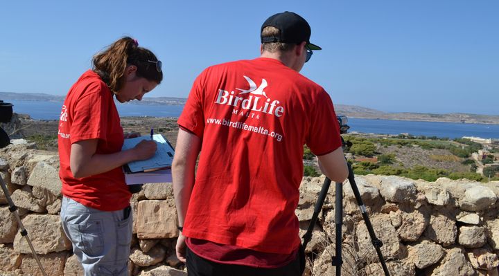 BirdLife Malta appeals to the public for support with Raptor Camp