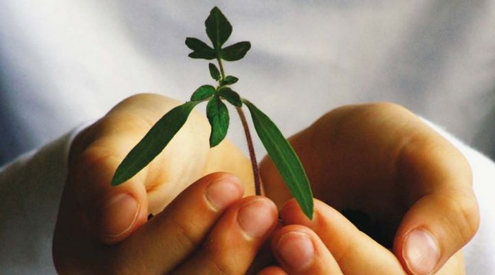 Malta in the “front runners” group where SMEs have recovered fully – EC
