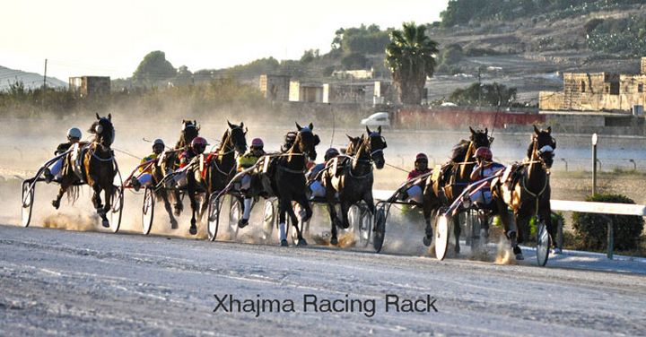 Gozo Horse Racing Association ‘Gozo Sprinter Master 2014’ this Sunday