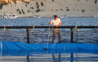 Aquaculture industry gross output increased by €0.5 million in 2013