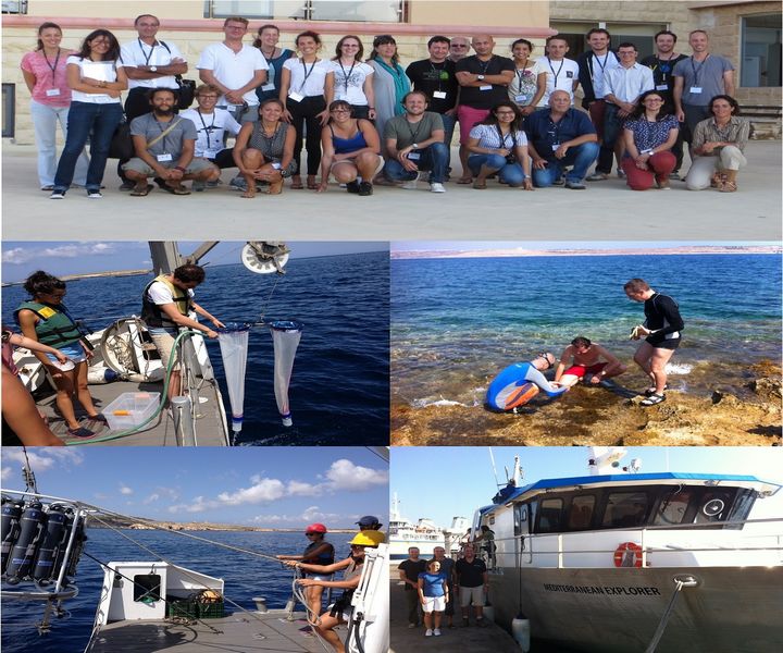 Successful BioDivMex international workshop held in Malta