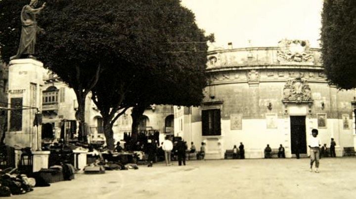 Trees saved at it-Tokk Square Victoria, following FAA court action