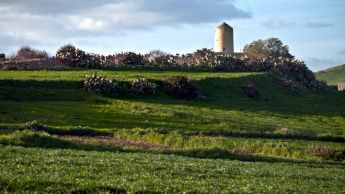 43% of Gozitan tourism establishments said business was good in Q4 – GTA survey