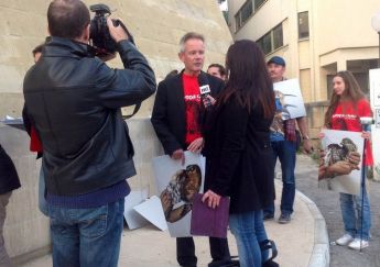 BirdLife denounces Government proposal to allow amnesty for illegal hunters
