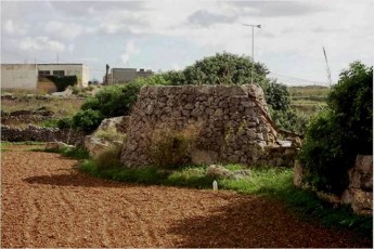50 newly discovered archaeological sites given high level of protection
