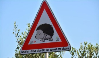 Adopt a Hedgehog Campaign launched across Gozo and Malta