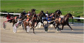 Republic Day Races for Trotters at the Xhajma Racing Track, Gozo