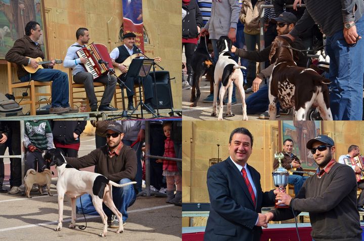 The traditional feast of Saint Anthony the Abbot celebrated in Xaghra