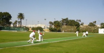 Kobras battle it out against the Bees in Cricktet Winter Wallop game
