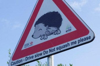HSBC Malta Foundation to the rescue & rehabilitation of hedgehogs