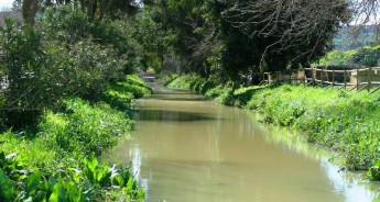 Marsalforn Valley looking lush & green following weeks of rain