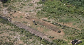 32 illegal finch trapping sites spotted in Gozo, no ALE on the island – CABS