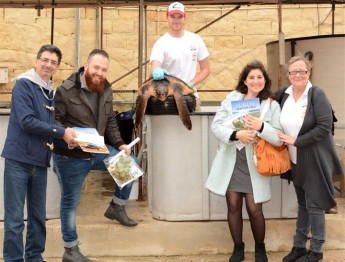 Injured turtles get a supporting hand from Hard Rock Cafe campaign