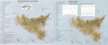 New book launch on the Maltese terminology of fishing and navigation