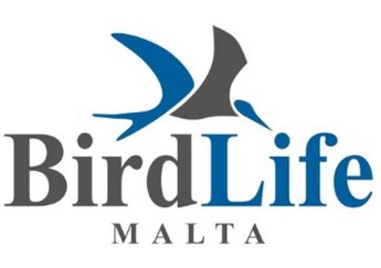 BirdLife Malta welcomes closure of spring hunting season