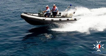 Police urge caution after “big fish” spotted near Ghajn Tuffieha Police urge caution after “big fish” spotted near Ghajn Tuffieha
