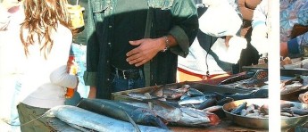 Eat Fresh Fish awareness campaign with school visits in Malta & Gozo