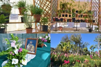 Spring Show of flowers & plants this weekend at Villa Rundle Gardens Spring Show of flowers & plants this weekend at Villa Rundle Gardens