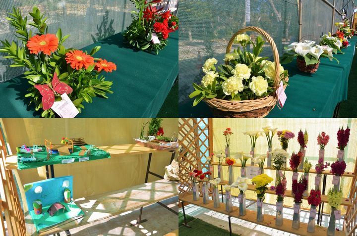 Spring Show of flowers & plants this weekend at Villa Rundle Gardens