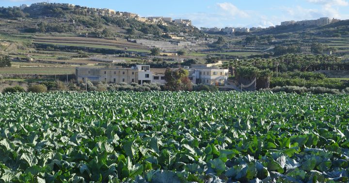 Producer price index for agriculture up by 4.9% in third quarter