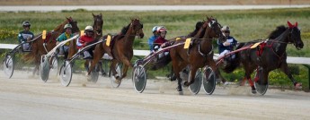 Programme of 10 horse races at the Xhajma Race track on Sunday