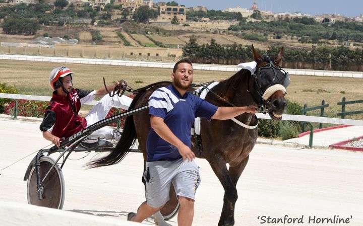 Exciting morning of horse racing in Gozo for the season's final programme