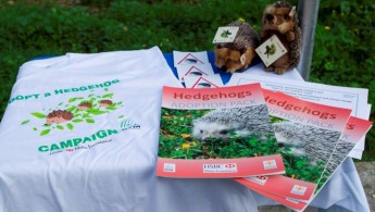 124 hedgehogs rescued in Gozo & Malta over the last 6 months 124 hedgehogs rescued in Gozo & Malta over the last 6 months