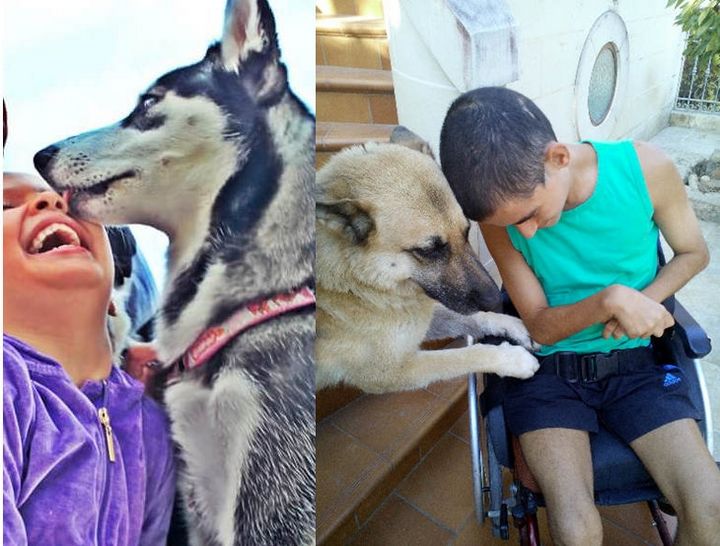 Awareness campaign for children on animal welfare comes to an end