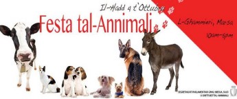 World Animal Day: Festival in celebration of animals next Sunday