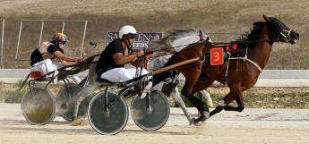 GHRA Annual General Meeting reports a record year for the Association