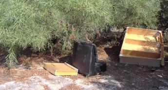 Natura 2000 sites under continuous attack by illegal dumping – NTM