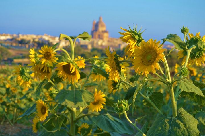 Gozo Tourism Association proposals on Gozo as a distinct destination