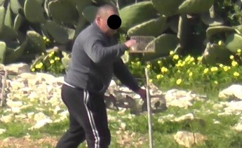 Two more convictions for illegal bird trapping in Malta