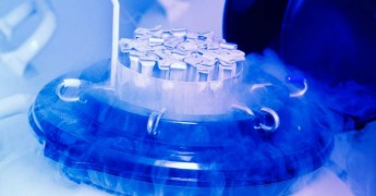 Zminijetna agrees in principle to the freezing of embryos Zminijetna agrees in principle to the freezing of embryos