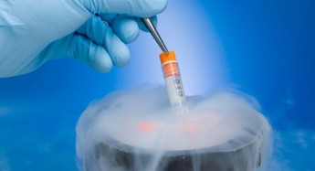 Embryo freezing is scientifically unnecessary & unreasonable – Study