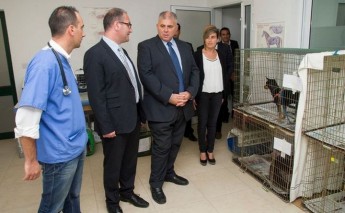 338 animals neutered during week long campaign in Gozo